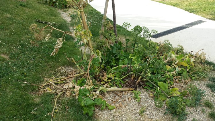 20150618_192504.jpg