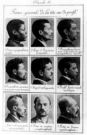 Études des profils pour le bertillonnage.jpg