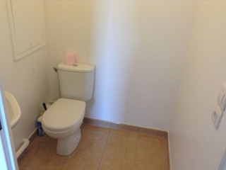 IMG_0035.jpeg