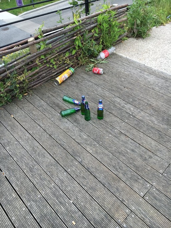 image.jpeg
