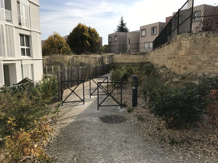 Côté jardin japonais
