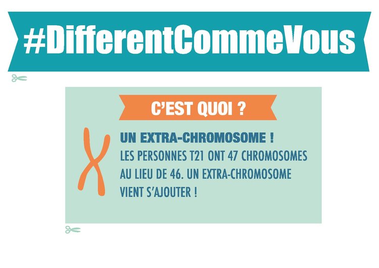 kit_expo-trisomie21_web-page-008.jpg