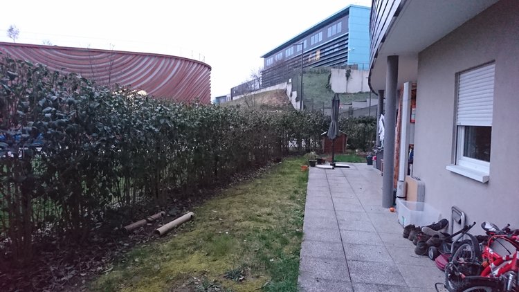4_jardin.JPG