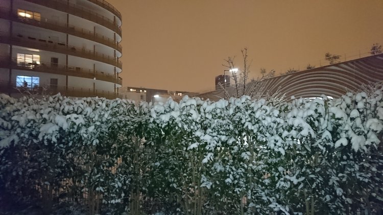 5_jardin_hiver.JPG