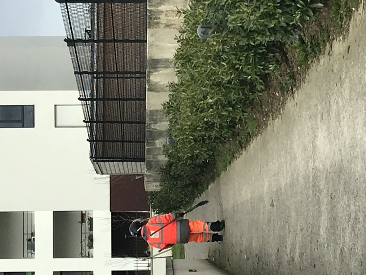 BA1EDBDC-A9AA-45F4-B32C-CE4C433C8CEC.jpeg