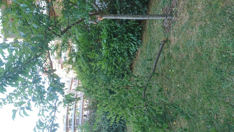 DSC_0589.JPG