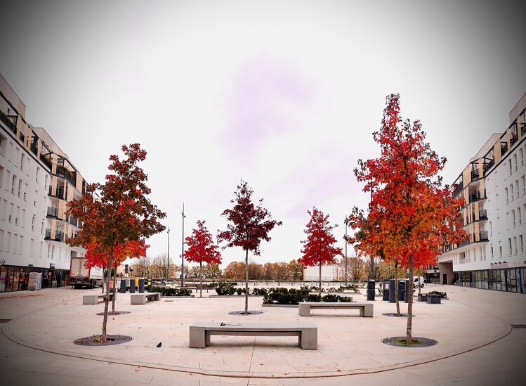 Photo de ce matin, couleurs d’automne