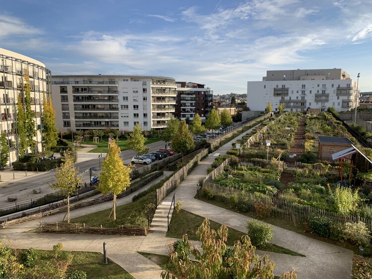 2-vue jardins.JPG