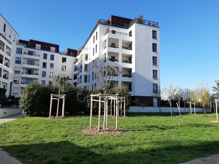 immeuble.jpg