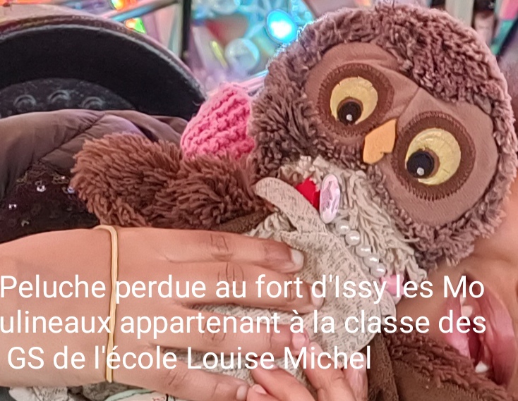 Photo de ciboulette
