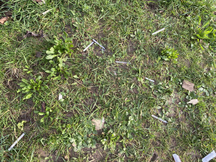 IMG_7186.jpeg