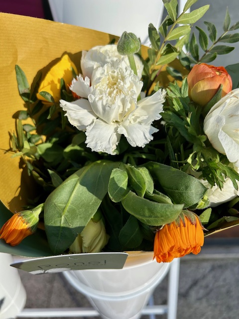 image1.jpeg