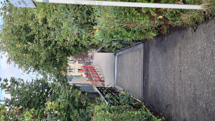 20250915_084848.jpg