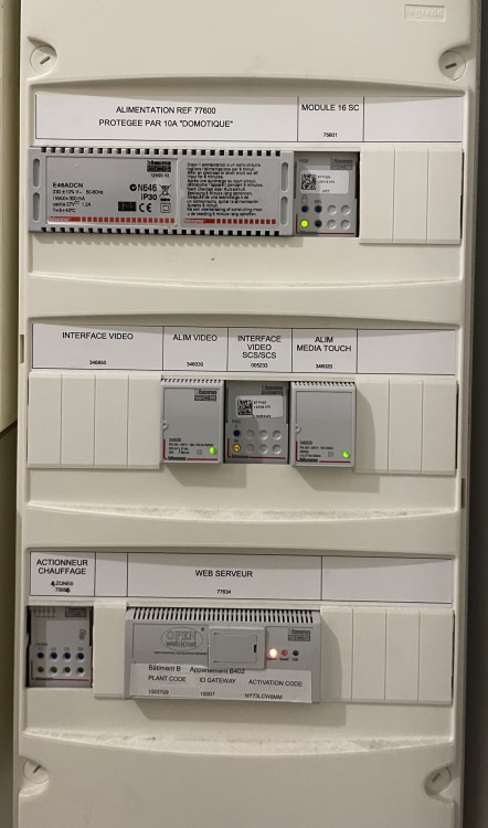 IMG_6937.jpeg