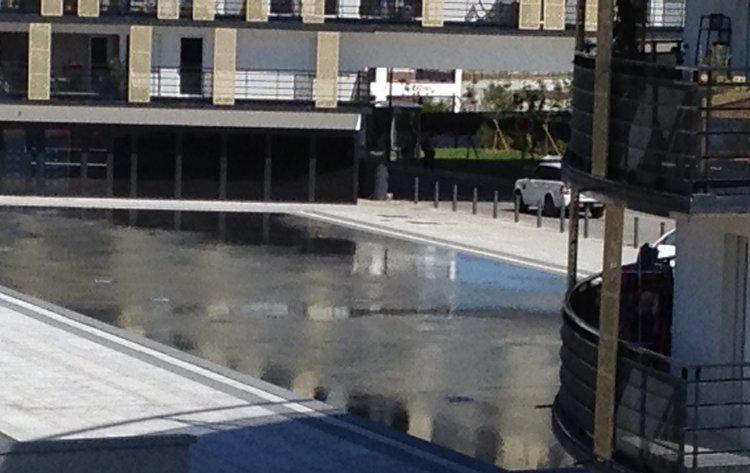 image.jpg